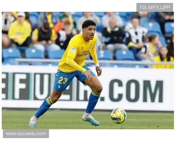 斯基拉：伊卡尔迪转都灵可能性为零，传闻不攻自破